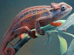 -多彩贵州城极地海洋世界