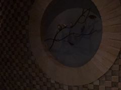 -Dragonfly悠庭·按摩Spa(静安嘉里中心店)