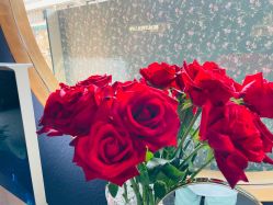 -花隐·美芙炫海菲秀皮肤管理中心