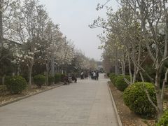 -南宫五洲植物乐园