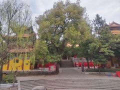 -宝通禅寺