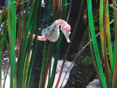 -沈阳海洋探索中心