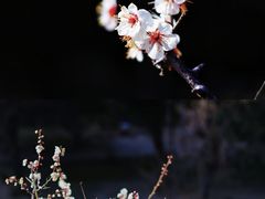 -渭滨公园