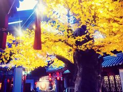 -不二茶空间·养生宴(石景山店)