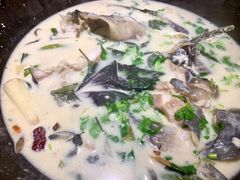 -鲜潭蒸汽石锅鱼(五道口购物中心店)
