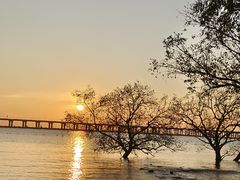 -宝安西湾红树林湿地公园