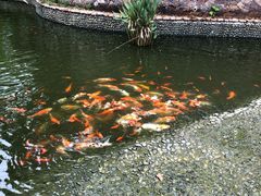 -三亚御海棠豪华精选度假酒店