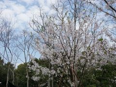 -上海吴淞炮台湾国家湿地公园