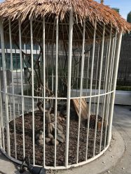 -造物庄园 萌宠纪(苏州湾歌林公园店)