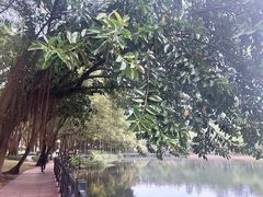 -云溪植物园