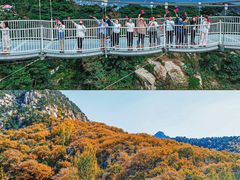 -沂蒙山旅游区龟蒙景区