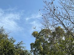 -南通博物苑-崇川人民公园