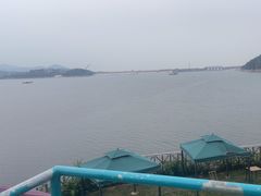 -望湖烤鱼