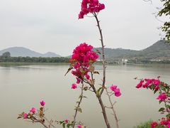 -风云岭森林公园