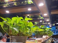 -重庆老味道火锅(喜堂店)