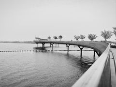 -状元楼(金溪路店)