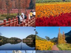 -广州市石门国家森林公园