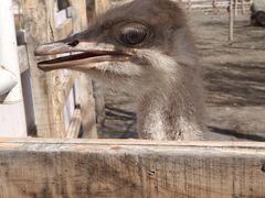 -水上乐园·欢乐世界