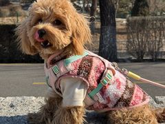 -小意思咖啡店(草桥店)