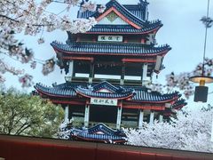 -蜜桃餐厅·伴山(绿宝广场店)