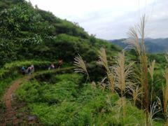 -天姥山