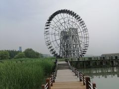 -苏州太湖湖滨国家湿地公园