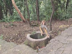 -黔灵山公园
