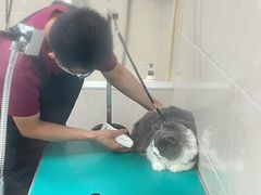 -美联众合爱康动物医院•复杂内科•肿瘤科•牙科•腔镜诊疗中心