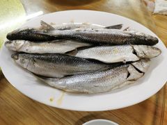 -长平肥姐白粥·海鲜打冷