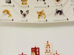 -iF摄影•全家福•证件照•形象照(南山店)