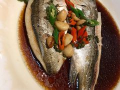 葱椒鲈鱼-绿茶餐厅(华联万柳店)