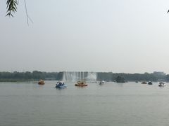 -大兴滨河森林公园