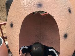 -梦幻奥陶纪景区