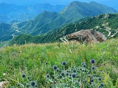 -白草畔自然风景区