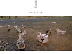 -白河湾山水缘民宿