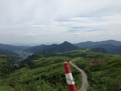 -空中草原