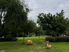 -沙河三洞古桥公园