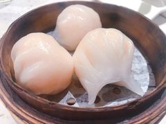 千日贺虾饺皇-千日贺茶餐厅(高新万达店)