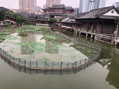 -龙潭水乡