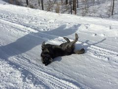 -北极村旅游风景区