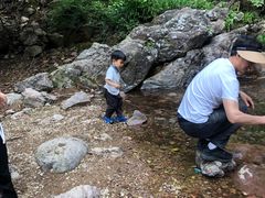 -四明山国家森林公园