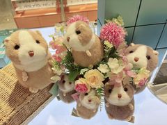 -金鹰国际购物中心(江都店)