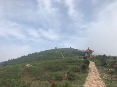 -阳台山自然风景区