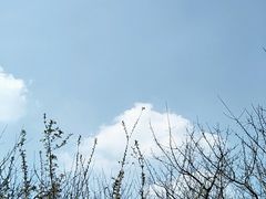-秀丽东方