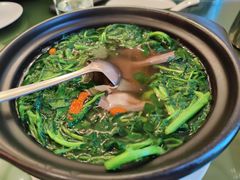 原汁原味西洋菜-煲煲好(朝阳门店)
