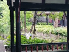-桂湖森林公园