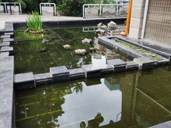 -成都市活水公园
