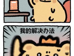 -四姐妹东北饺子(沙尾路店)
