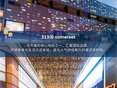 -新加坡乌节希尔顿酒店 (SG Clean)