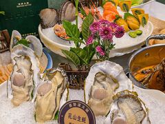 -喜聚薈·花膠雞海鮮火鍋(越秀店)